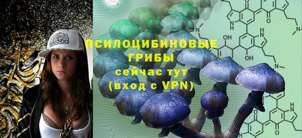 дживик Белоозёрский