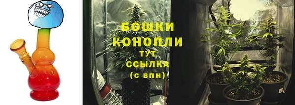 дживик Белоозёрский